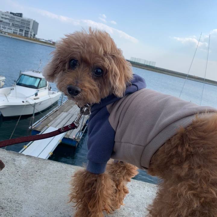 Edf31a31 cef2 47ec b48f 18e42d3c1e34 1604957037110