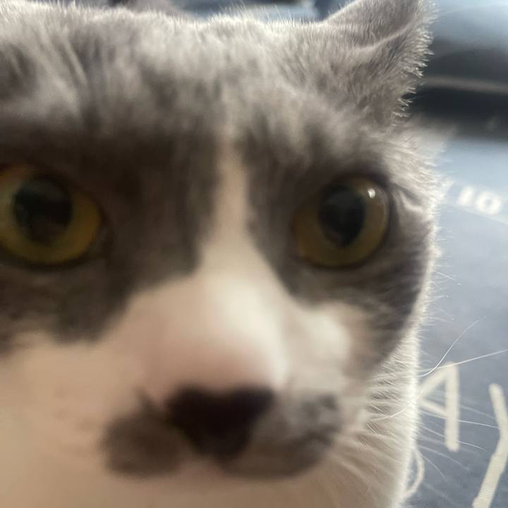 Edf3254f e74a 431b b407 fdfb7ccd959a 1722902888712