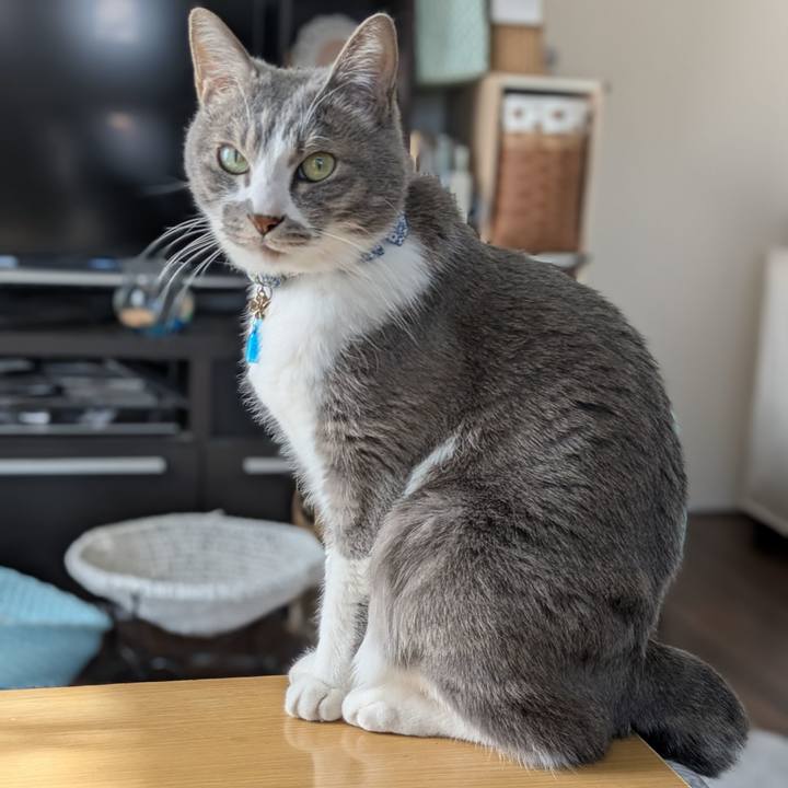 Edf32d80 a132 4cd5 9bb9 830ca60be88b 1739600491013