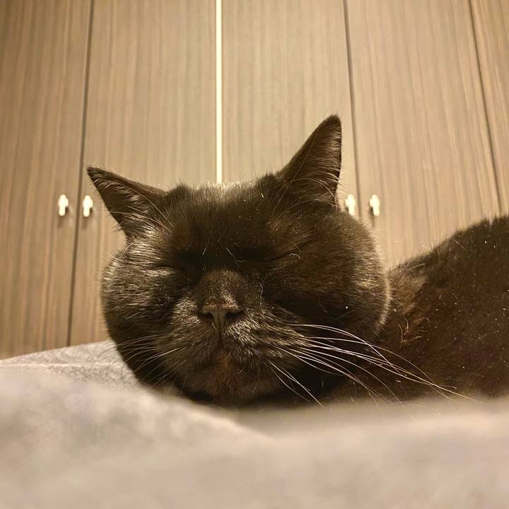 Edf33cab 9038 4b87 b3fd a19462c75f92 1680702257443