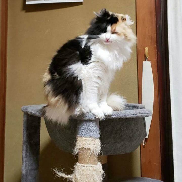 Edf36f55 fea4 46a9 8274 17ee52589aa9 1664487740334