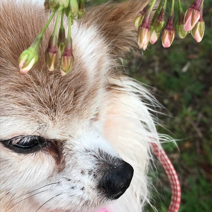 Edf38b5c ecb2 469e 9b52 891b7151e1f4 1584882538873