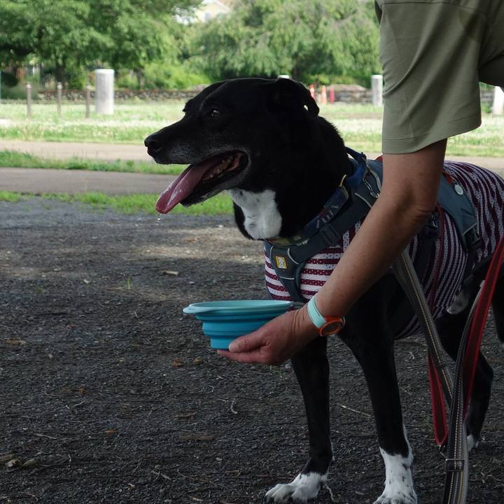 Edf390b7 5fef 4b64 b750 fd5691c78b08 1718843746854