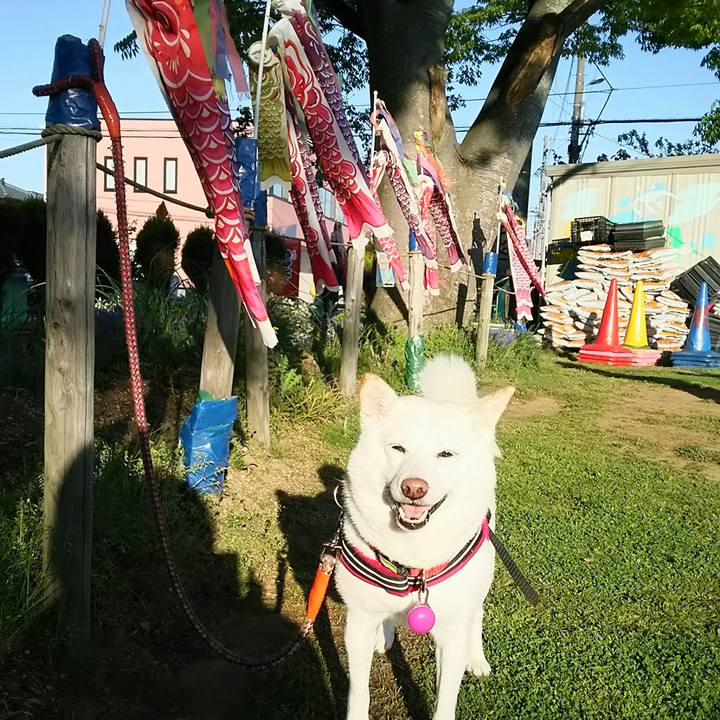 Edf3a77f 837b 4d18 a187 0ef1a10005d9 1556962428053