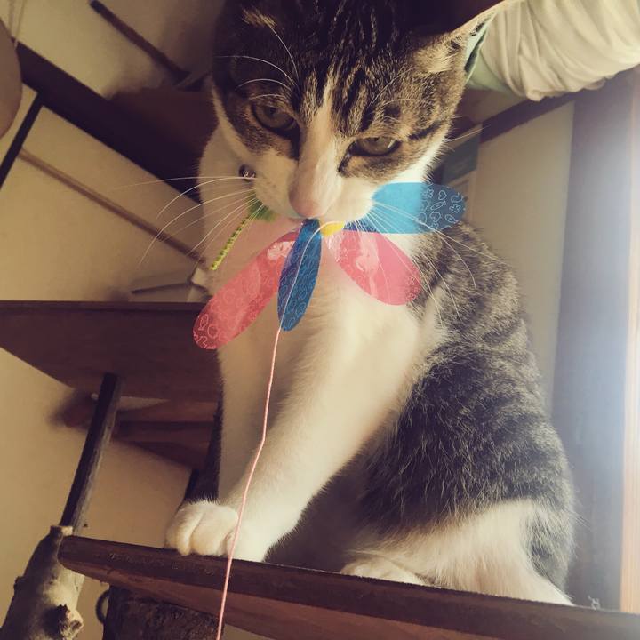 Edf3bac6 f8b6 421c 966b e1c6e8eab203 1524874811891