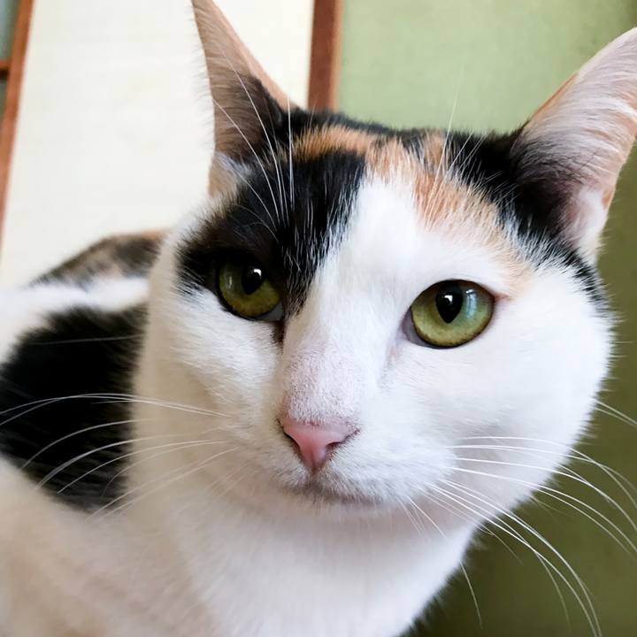 Edf3d0a1 0ac7 484f 9eaf bc5ae92f51ea 1515803806557