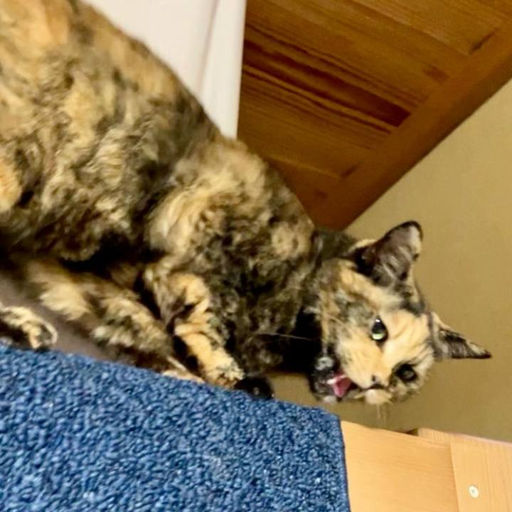 Edf3e07d 3ef4 4f5c a606 89009d05a395 1733451426158