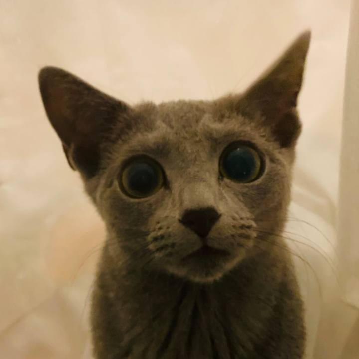 Edf3e6c1 2085 4434 878b bd435b4fac1a 1607779265863