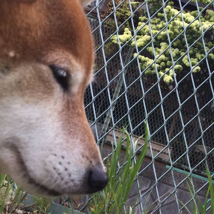 Edf40230 491d 4ab9 ad82 dd378d2b079e 1587023974717