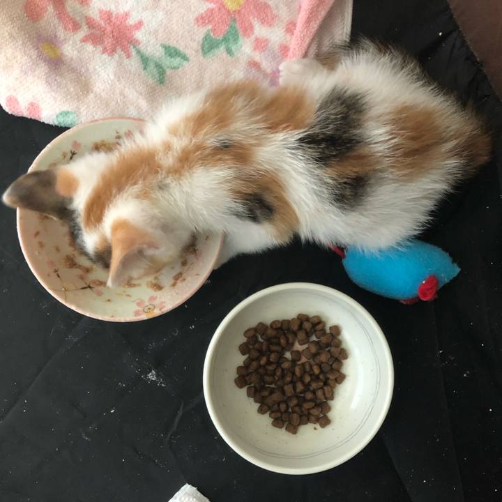 Edf414bf 790d 43eb 9ece 959d3289ab51 1560989264323