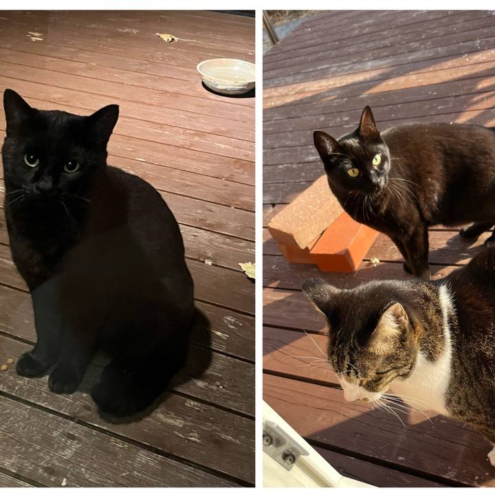 Edf45ba4 5cf6 4413 96e2 c50162627b6b 1764041281473