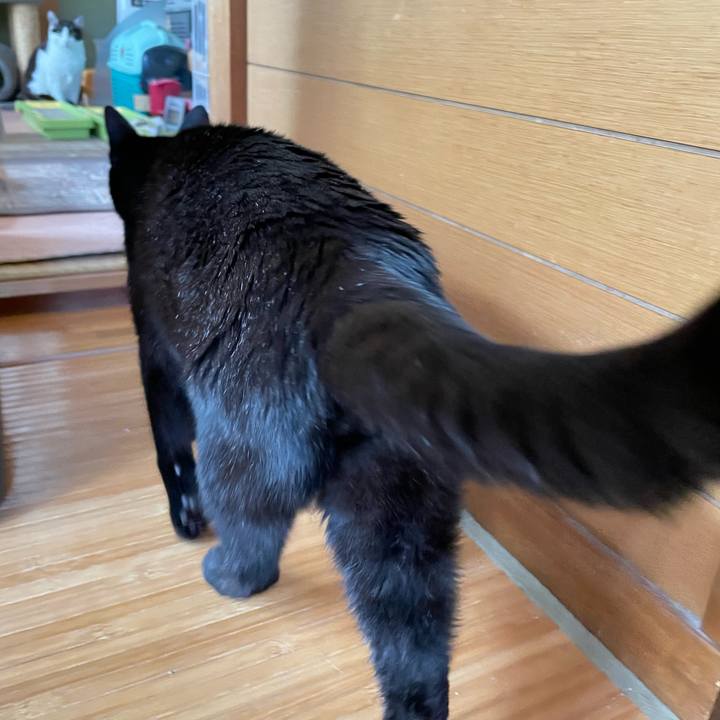 Edf45f45 b1cd 4673 8267 6a154d288da1 1652667709993