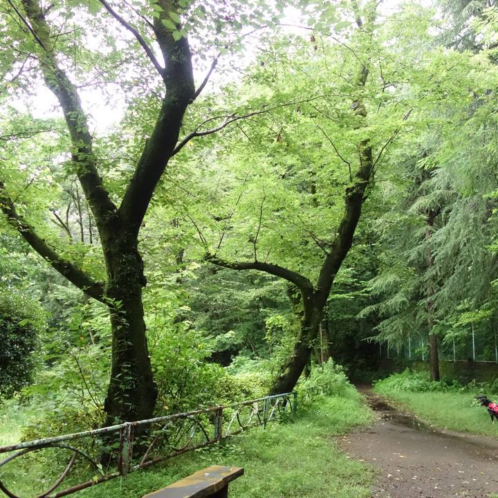 Edf46983 28cd 4074 99f4 0ecde061ba6b 1594164242823