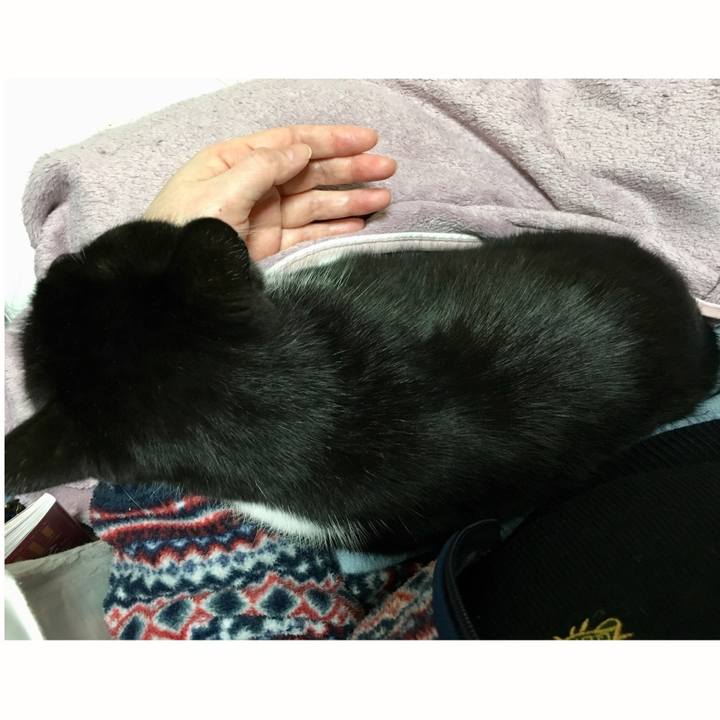 Edf48a4e 3fdf 43a2 9684 a68835e12b48 1582631013742