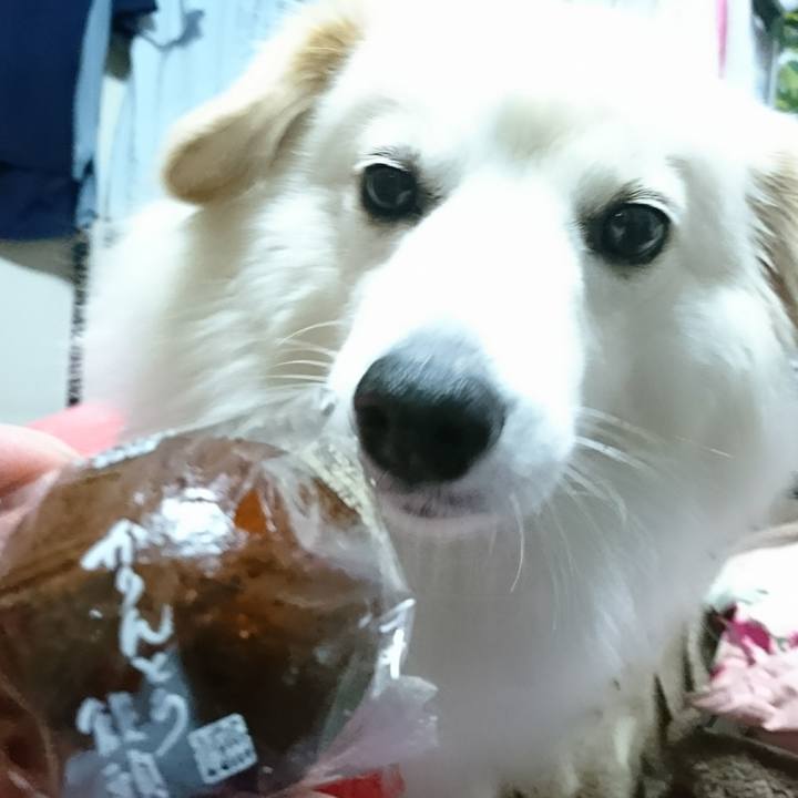 Edf49b22 31fc 4a73 b541 43ad2de07845 1510478889384