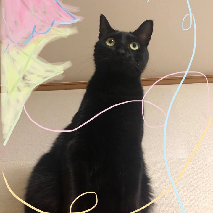 Edf4c06b d471 4813 adbd 12308a215f74 1553777397120