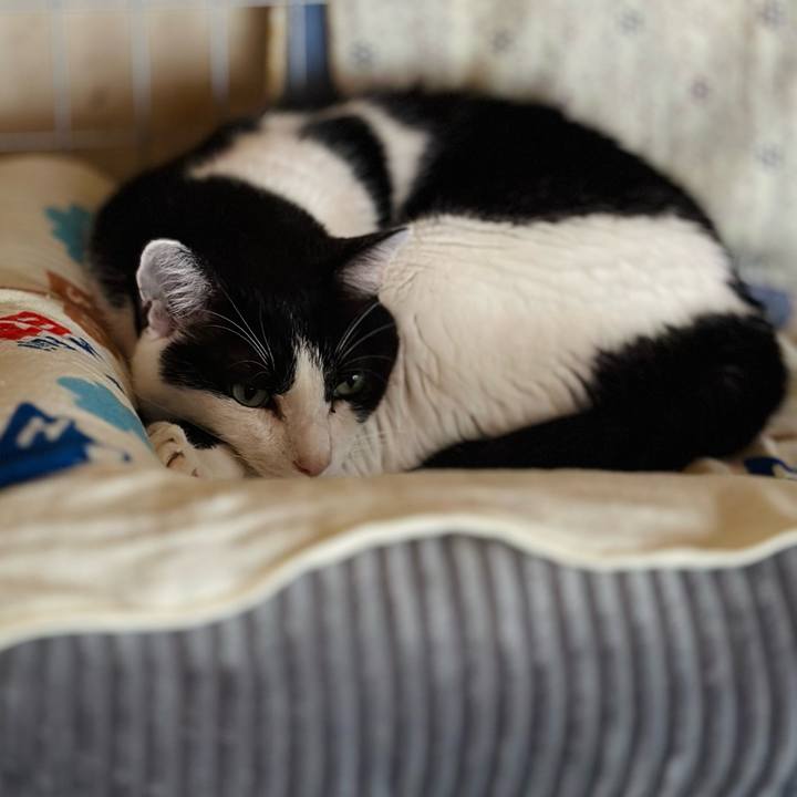 Edf4dcf8 2b6d 494b 87f0 9e0ca3d3259b 1723162905907