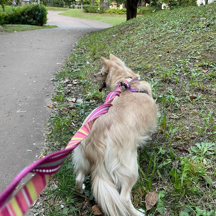 Edf4df20 bd38 4196 991d 130cc517d4f9 1758330339476