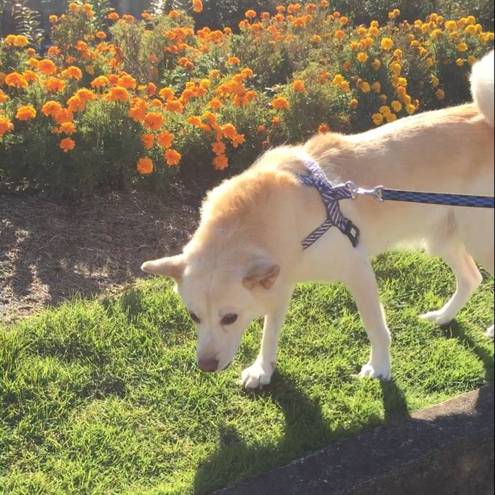 Edf51d21 13de 48e3 98be 180826531b79 1509434680231