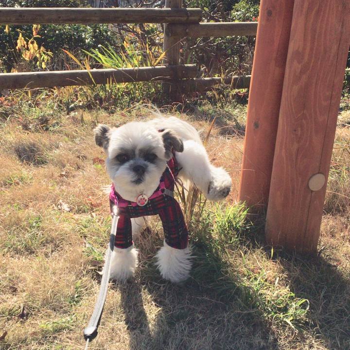 Edf51f7b 1f16 4acd a249 e79ad722917c 1515713806317