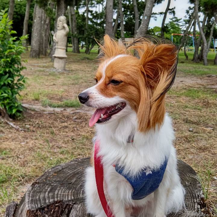 Edf541b6 26aa 4360 ac79 501275e75d1e 1657877972534