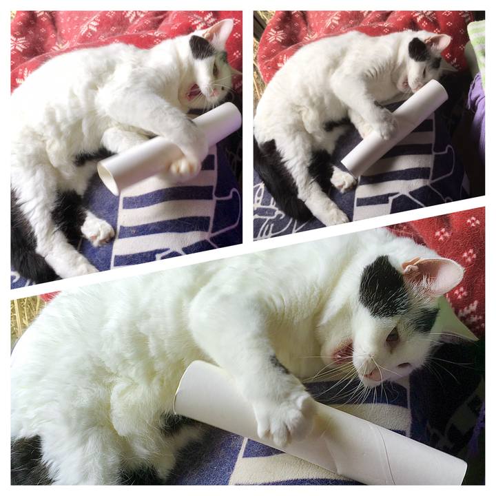 Edf5709b d4bb 4b71 961f 0ec320d55759 1600329262894