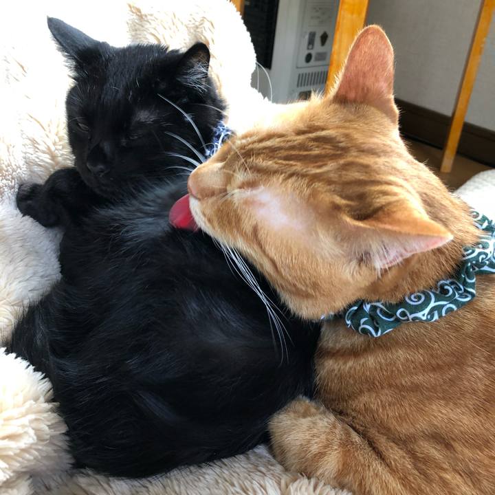 Edf573e1 576b 4ab7 bfa7 d8ad5a107385 1559973921222