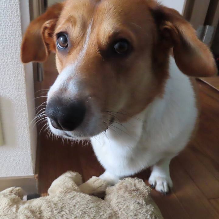 Edf59a27 5ec0 483e 9106 d5936c5e57a1 1639186527209