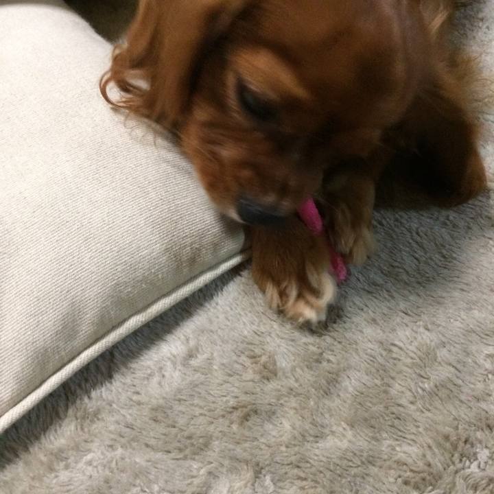 Edf5e4f1 f098 46a6 8295 1f39aa816a39 1510611928909