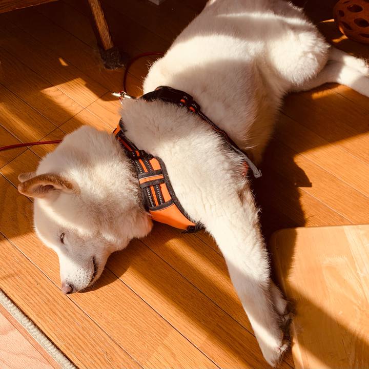 Edf5ee0c c1f7 4a5f aaaa 3346196cfbde 1615611851437