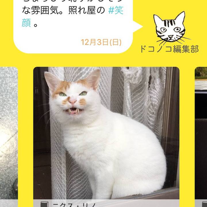 Edf623da c8ba 4f9d bc9d 28e3852a79bf 1512275575858