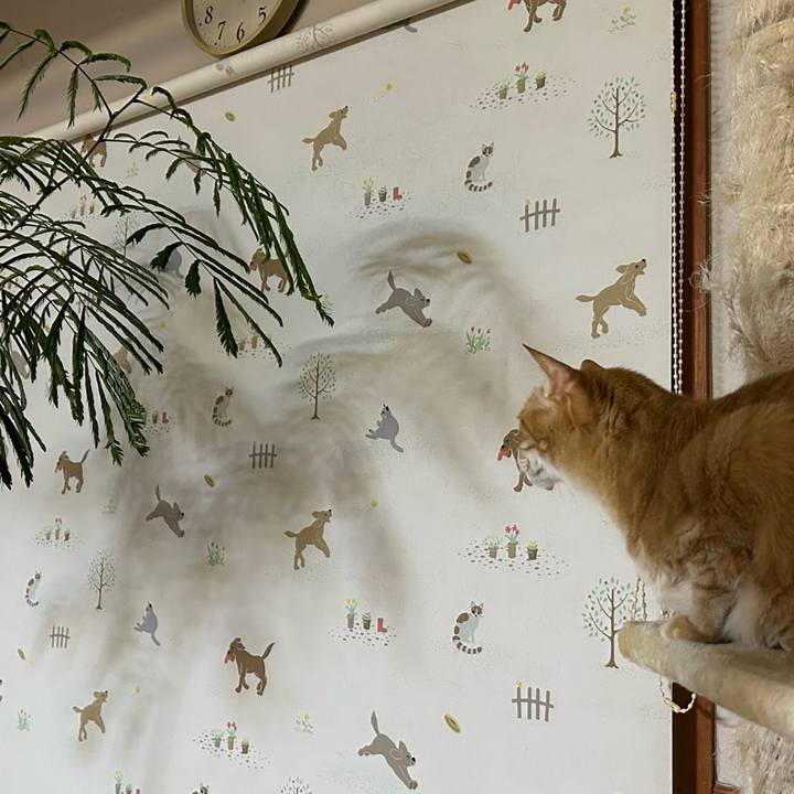 Edf632dd 2b5b 44a8 887a 06315570fdc0 1675512157907