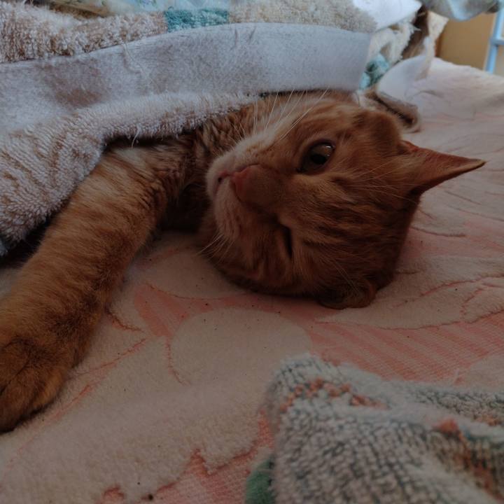 Edf64fac de02 49ca b303 659c76003445 1683758466271