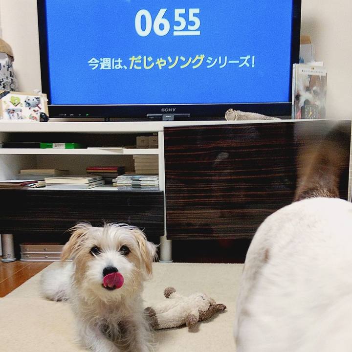 Edf652c8 2673 4227 8b52 e00e3ff6aacd 1574893665476