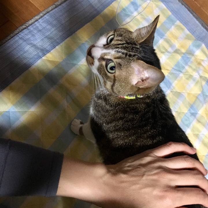 Edf6de55 2271 4b20 8148 ba0787786419 1524411409318