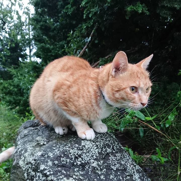 Edf6f2da ff82 4e59 9c0a 6ecc80c4bd4e 1567415101369