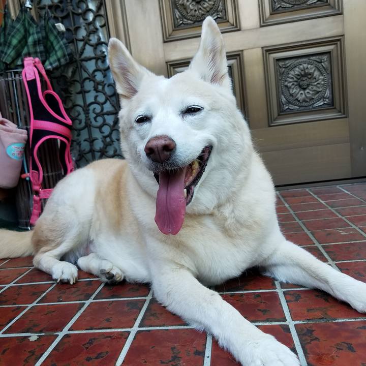 Edf72c27 8aa1 40c3 8e20 ab08842ffcd2 1592283364185