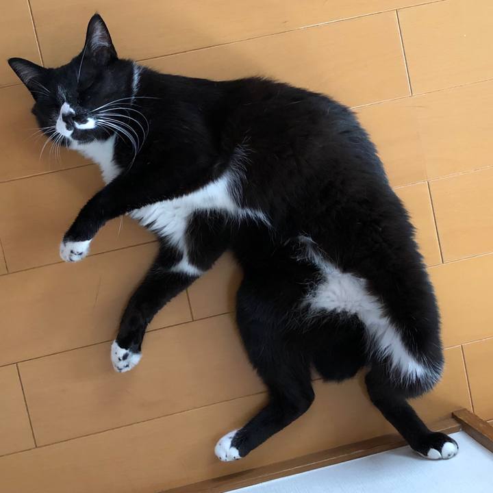 Edf73b9e c600 4c63 aac3 f009d0e6a2d6 1564544871801