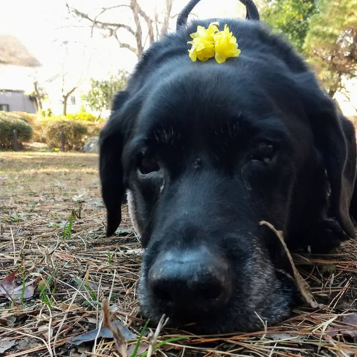 Edf7466f f46c 467c af3e 9a6ccbde110a 1705995849216