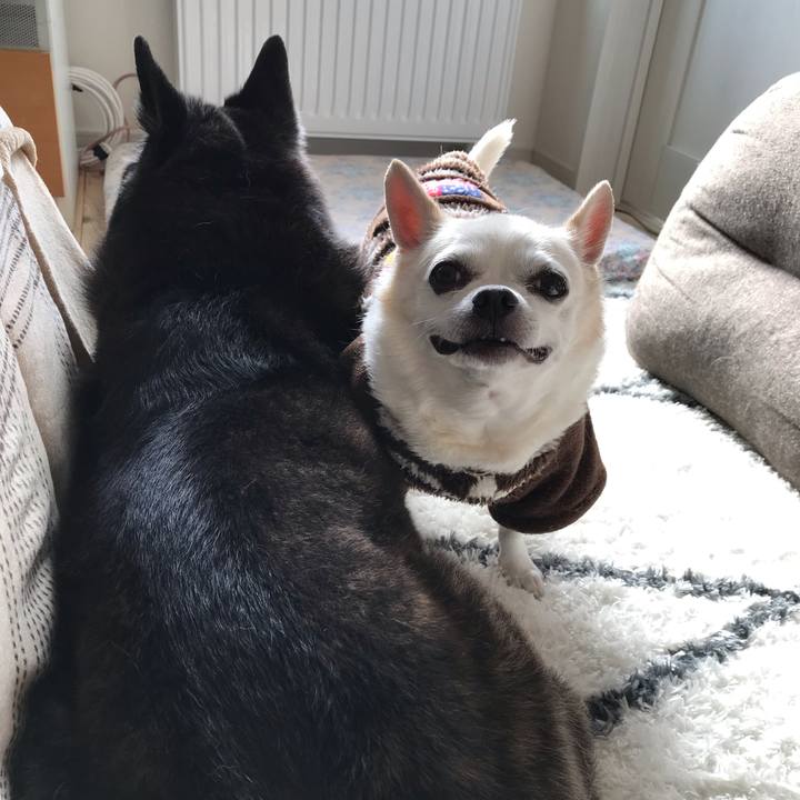 Edf76750 d45a 4c4e bc01 0f825c16ec27 1584687733729