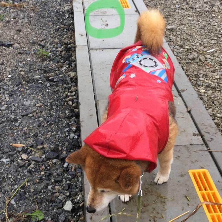 Edf7c241 e032 46ed bb89 cf7b203987e4 1592559232173