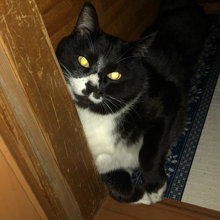 Edf7c6ac 9366 43f7 a217 4ed530179426 1620359113893