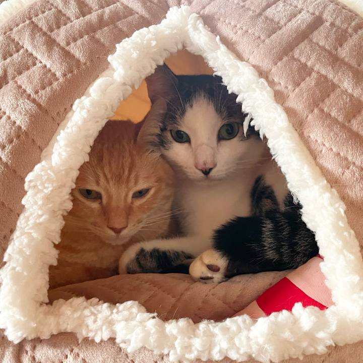 Edf7cf2b 432a 48ed 93ee 5c076670cb2e 1767157553739