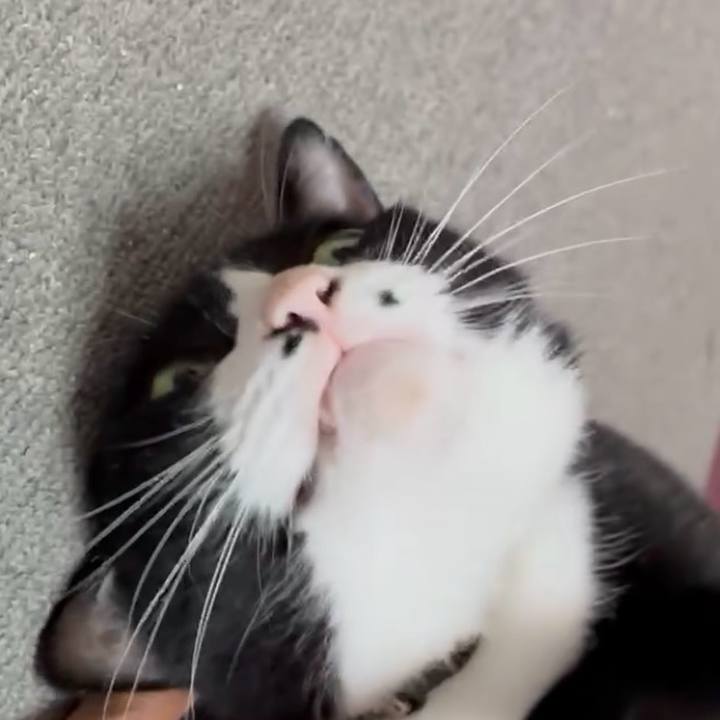 Edf7d29d c142 42cd bdb3 d5564075c402 1760839170164