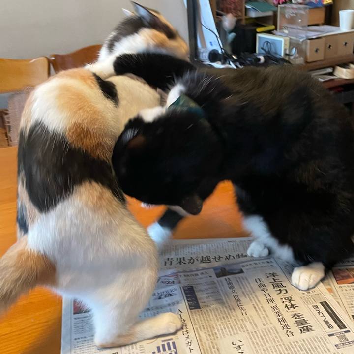 Edf7ee80 4c14 483c aea3 0502ed698346 1722402414143