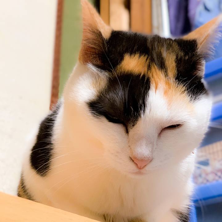 Edf88762 3a6f 4cbc 918e d670fe026edd 1563241416208