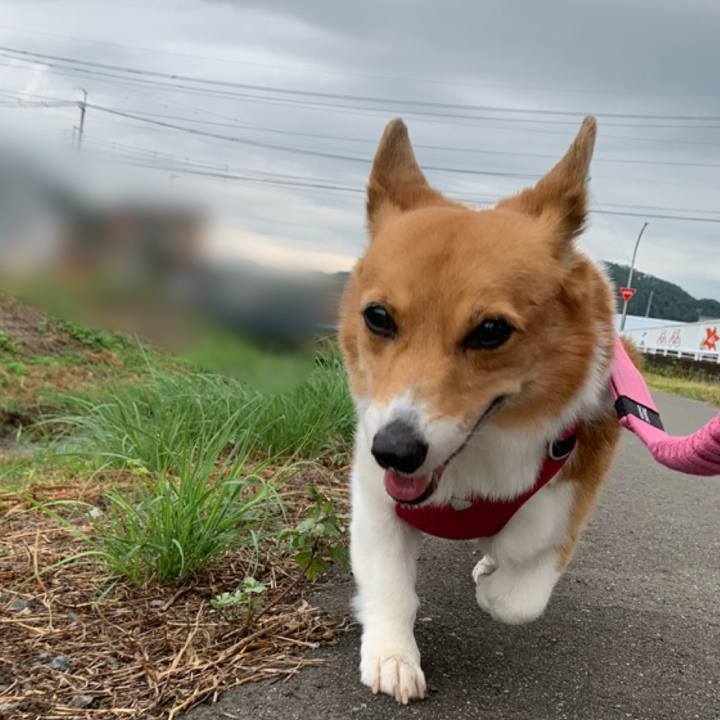 Edf89702 b7a7 42b7 a4ab 8aa65e3973e7 1693960713435