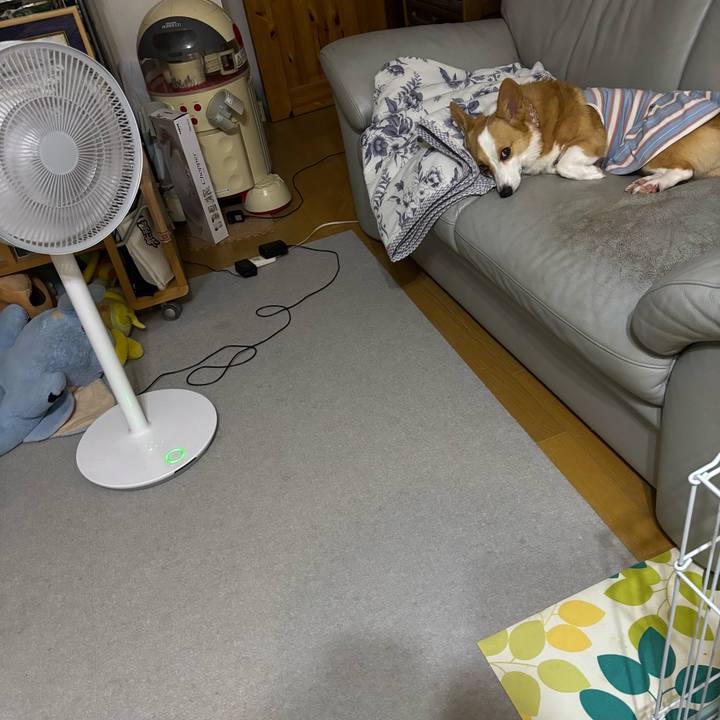 Edf89d9e 2d82 4903 8cc2 58c146d68128 1757812704816