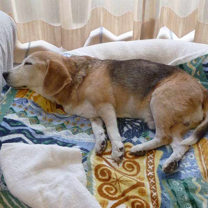 Edf89fea 836f 462b 88f3 52fb94d6fdeb 1703297605820