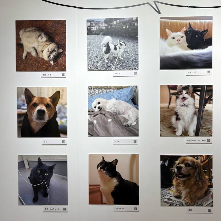 Edf8b134 3307 4b59 827b a22ce7c38094 1762077025587